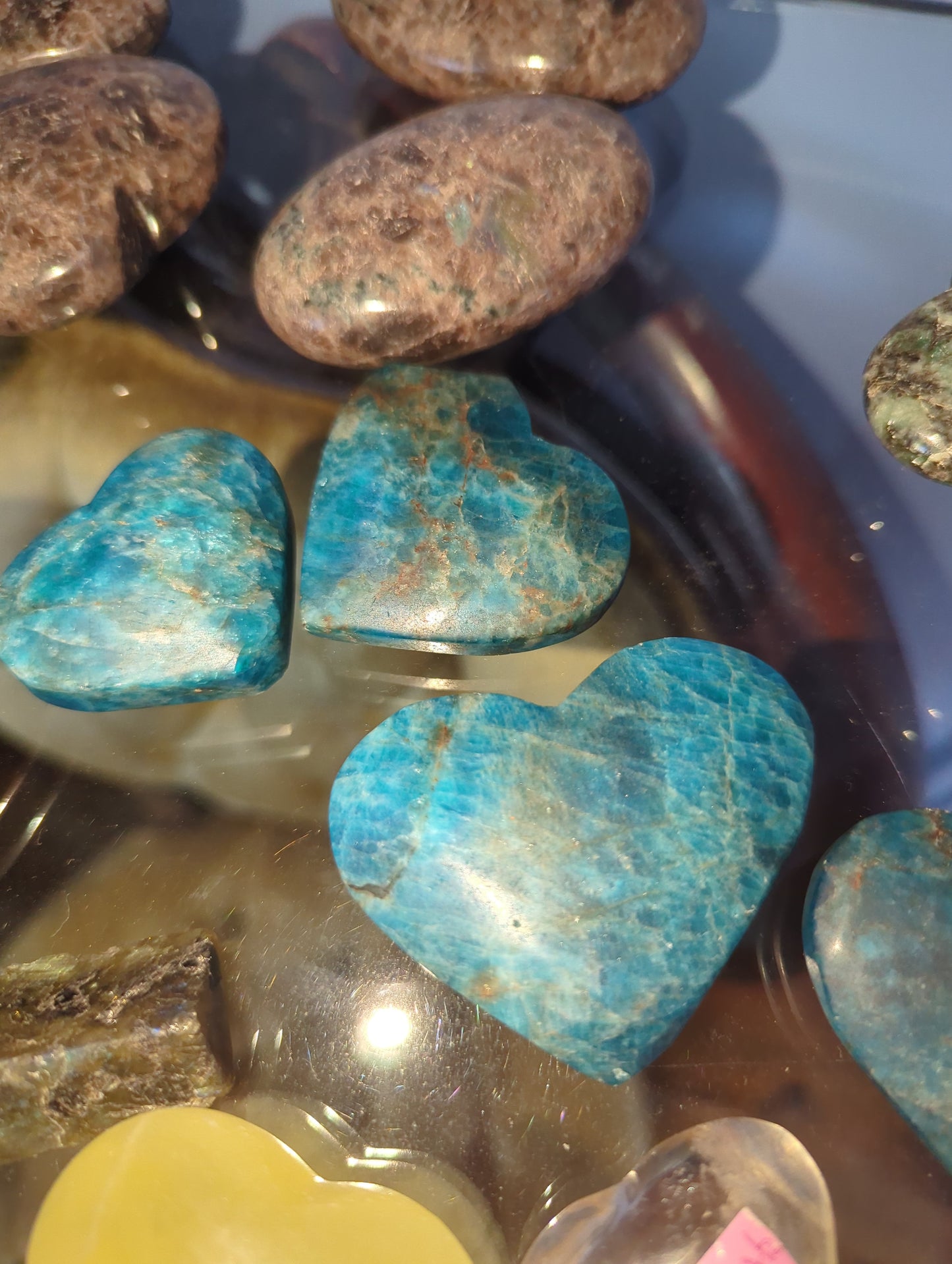 Apatite Palms