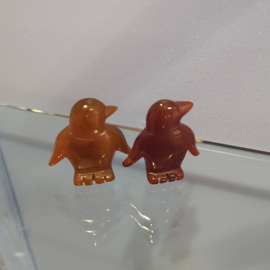 Carnelian Penguin