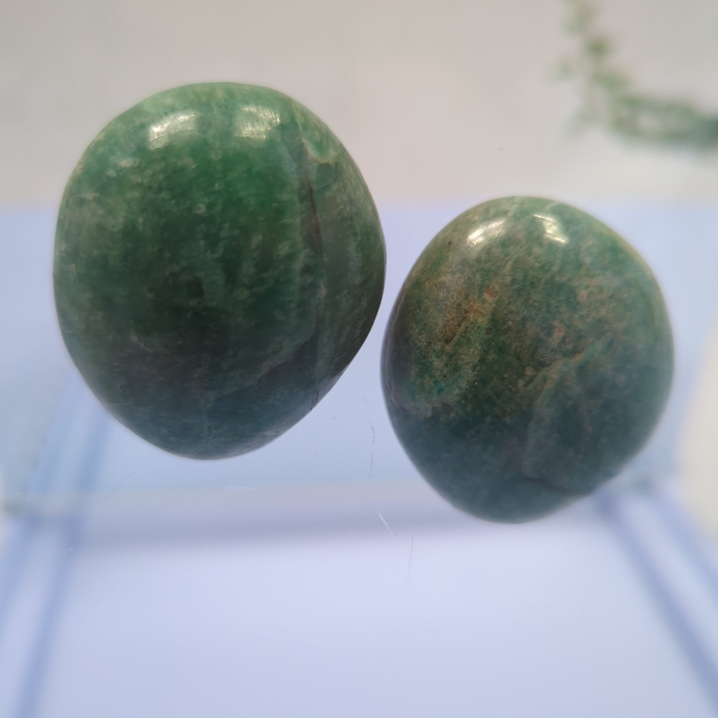 Amazonite Palm