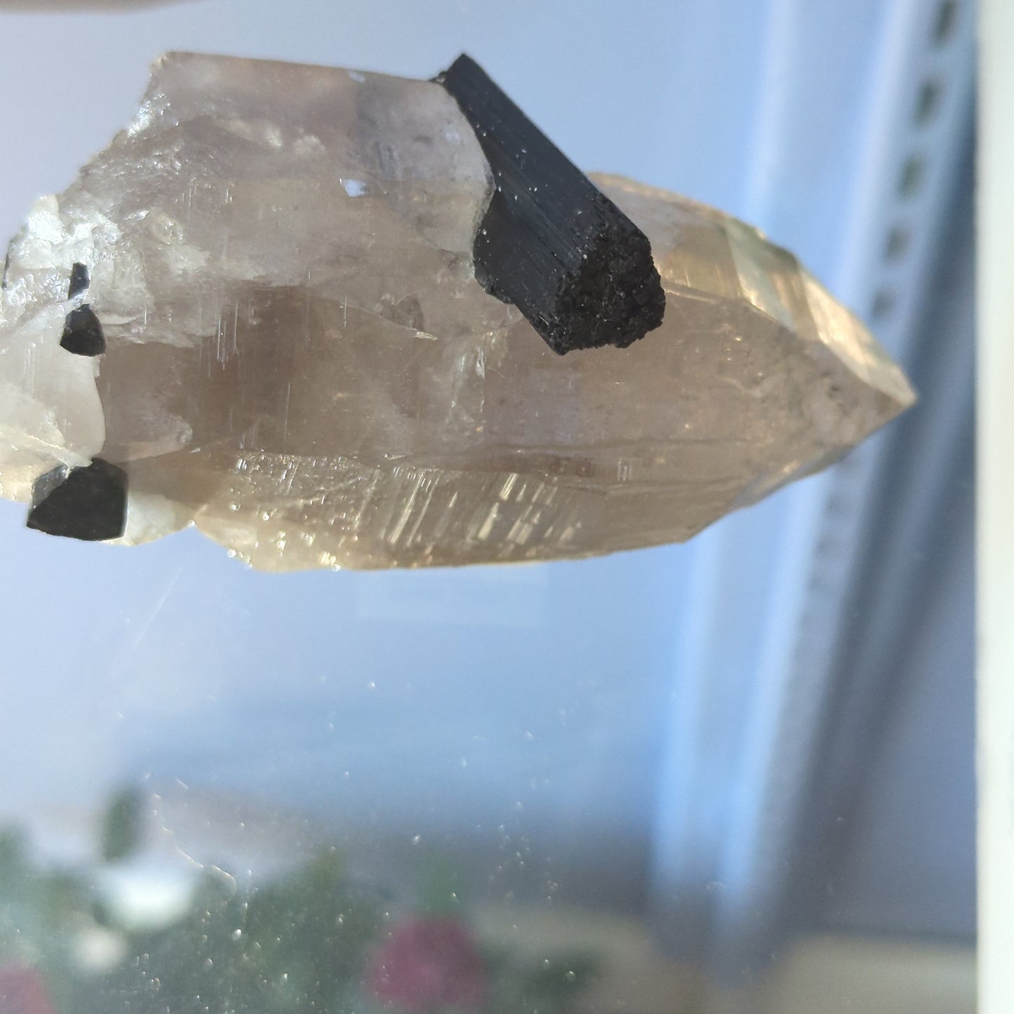 Smoky Quartz Tourmaline