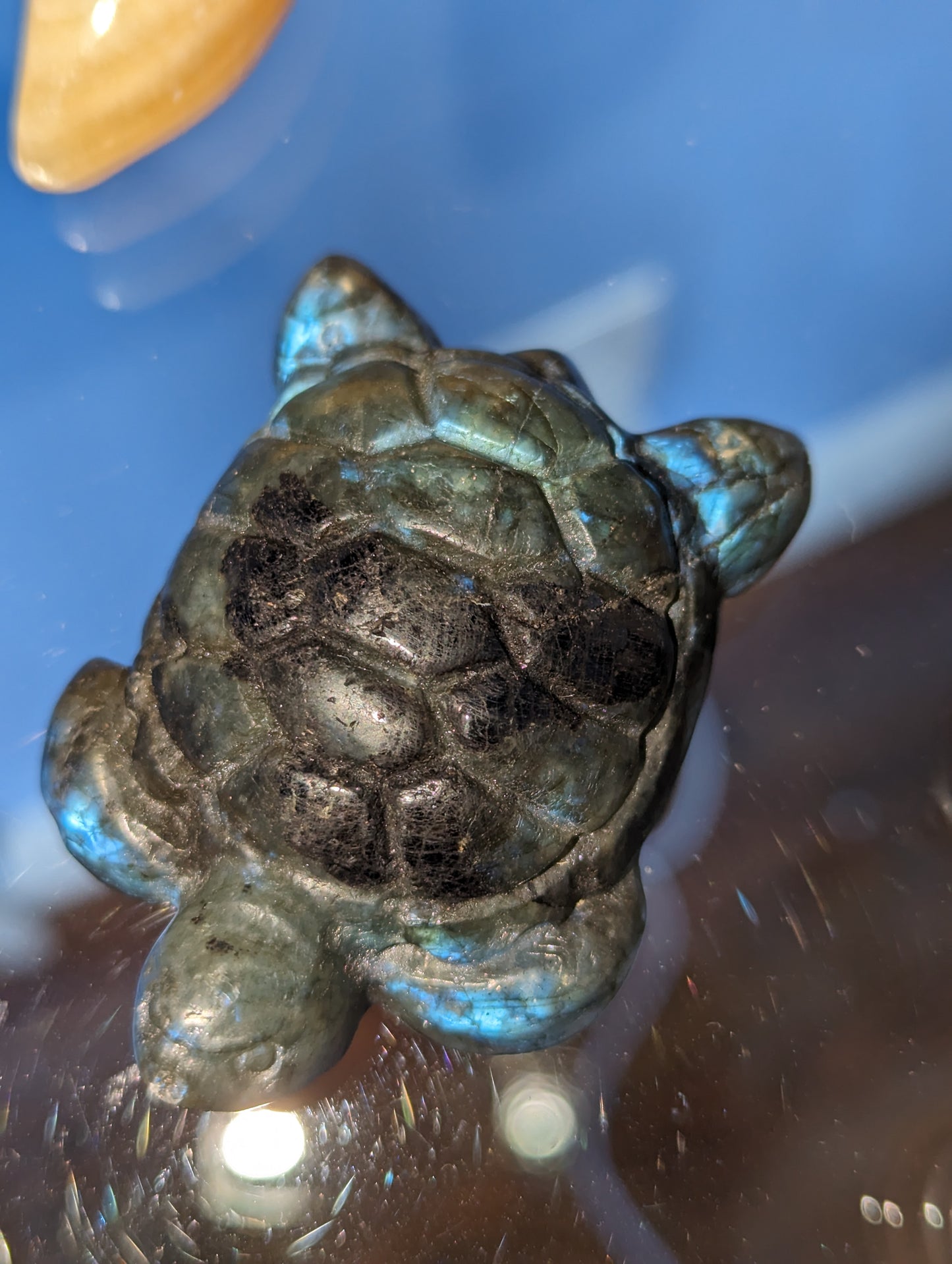 Labradorite Turtle