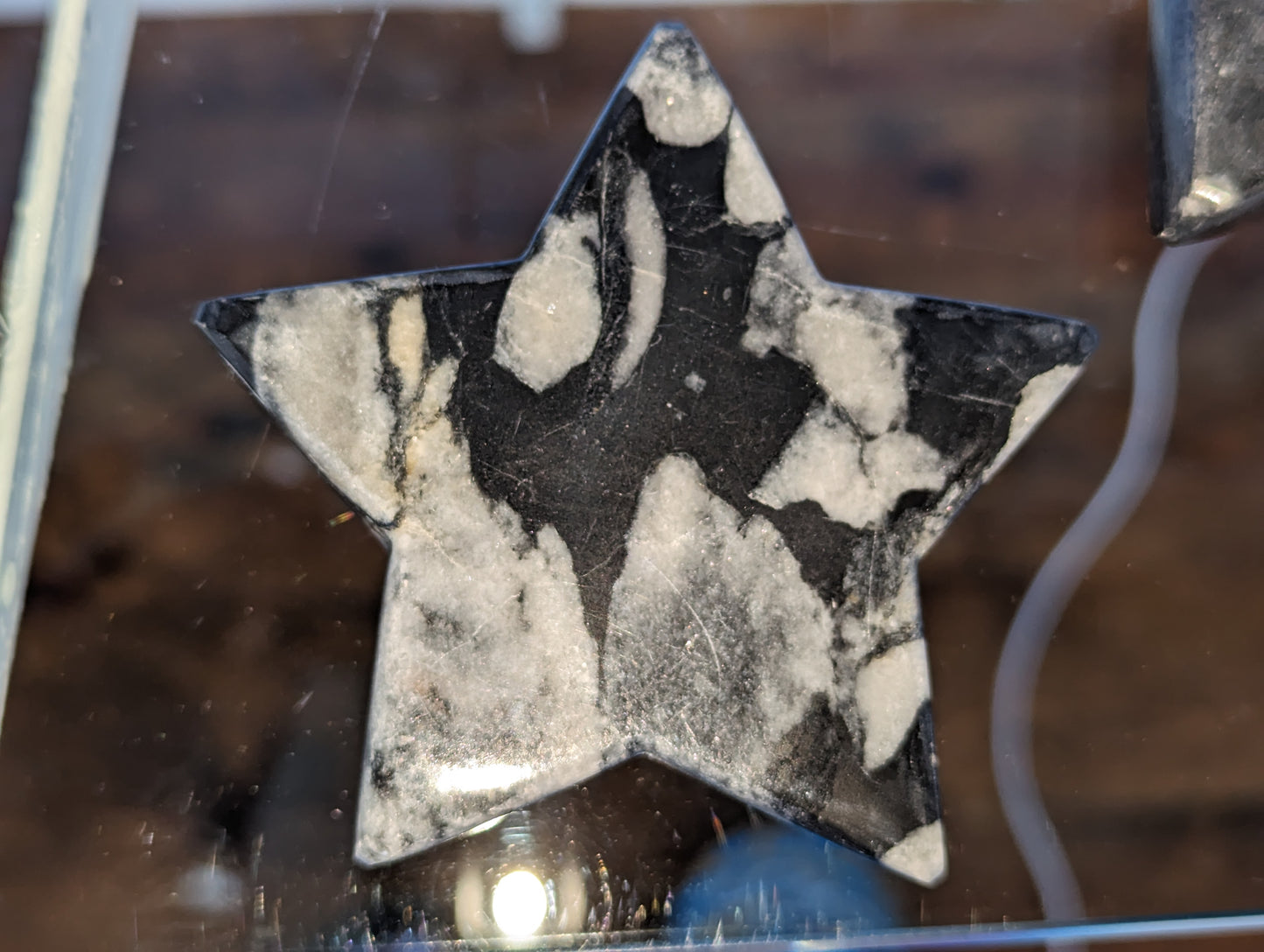 Shell Jasper Star