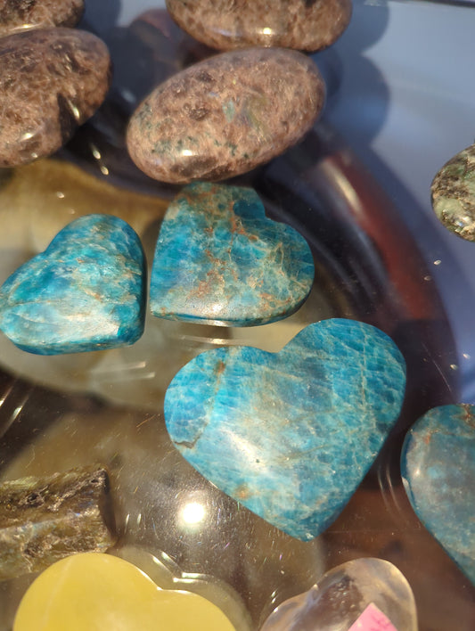 Apatite Palms