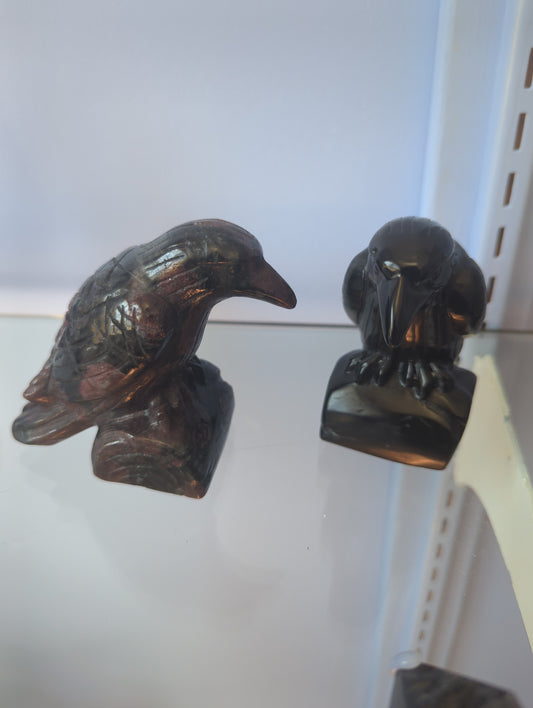 Raven (350+ g)