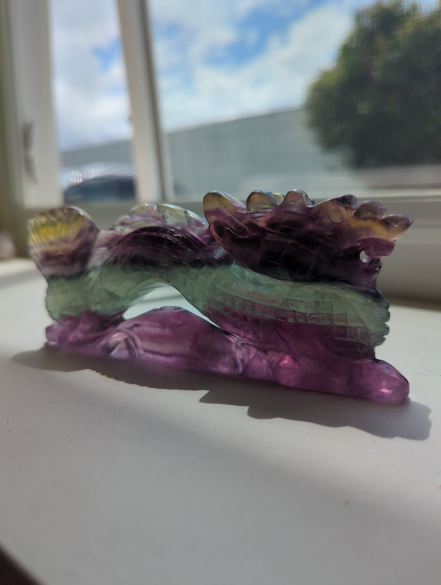 Fluorite Dragon