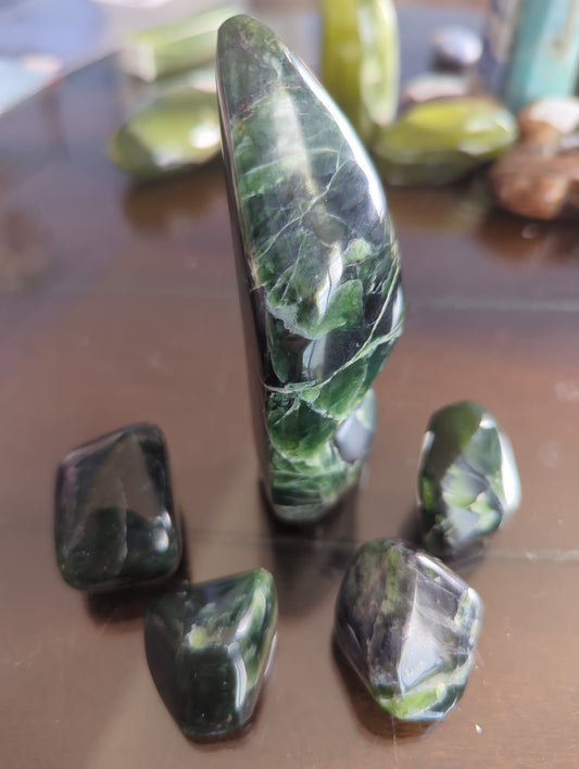 Hand-Polished Jungle Serpentine Freeform | Natural Display Stone for Transformation